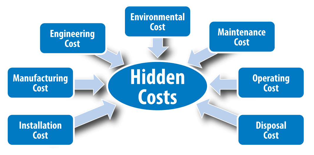 Infographic showing the hidden costs of ownership